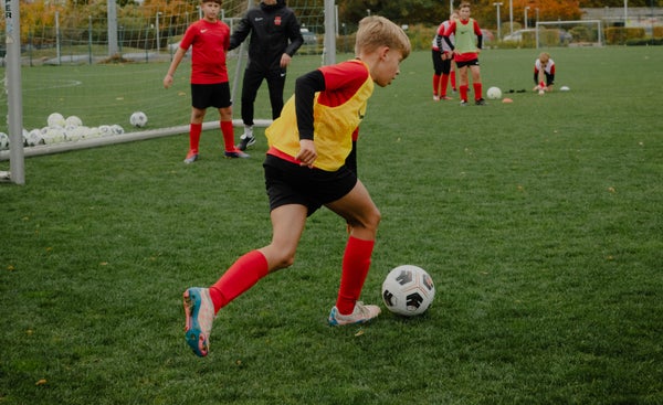 <div class="editor-content"><p><span style="font-size: 1.875rem"><strong>Das sagen die PLUS-Nutzer</strong></span></p></div>