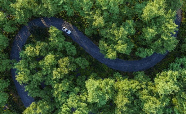 <div class="editor-content"><p><span style="font-size: 3rem">Hear From Others on the Path...</span></p><br><p>This forum is a beautiful place for everyone to share from the heart, giving and receiving support. To get inspired. To get helpful insights. To making new friends. To get that lilttle push to do something or do nothing. To acknowledge to have trust and faith. And much more.</p></div>