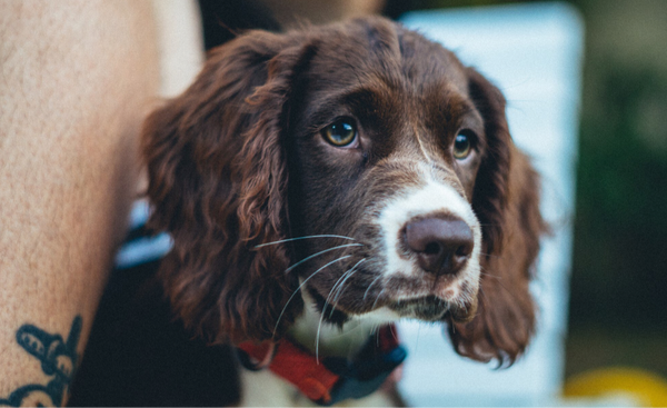 <div class="editor-content"><p><span style="font-size: 2.25rem; color: rgb(233, 123, 104)"><strong>What are people saying</strong></span></p></div>