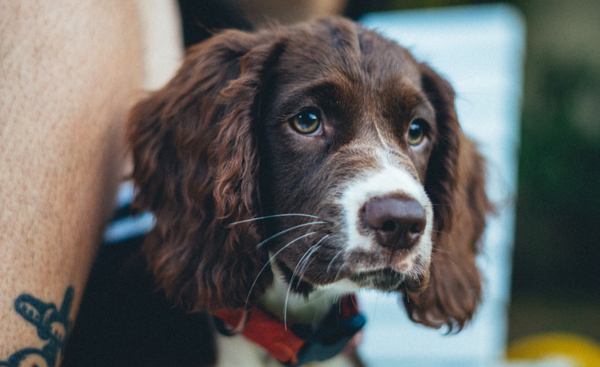 <div class="editor-content"><p><span style="font-size: 2.25rem; color: rgb(233, 123, 104)"><strong>What are people saying</strong></span></p></div>