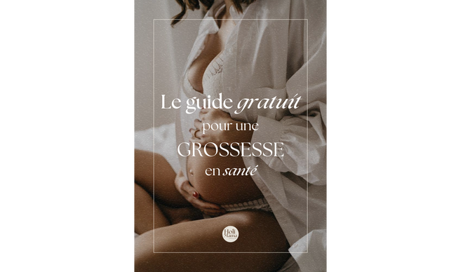 Couverture du guide pour une grossesse en santé