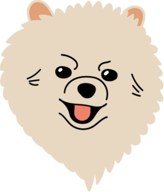 Groomed pomeranian