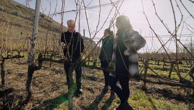 WineMasters: Baden, Germany