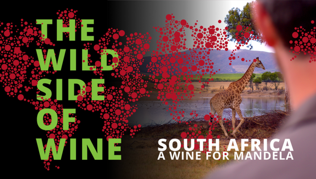 The Wild Side of Wine: South Africa, A Wine for Mandela
