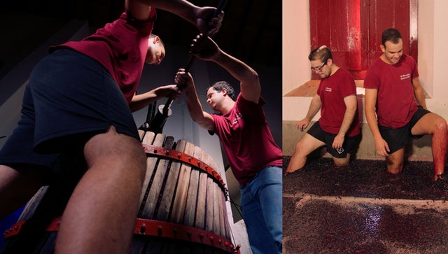 WineMasters: Alentejo, Portugal