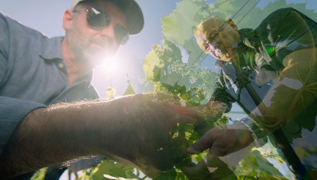 WineMasters: Champagne, France