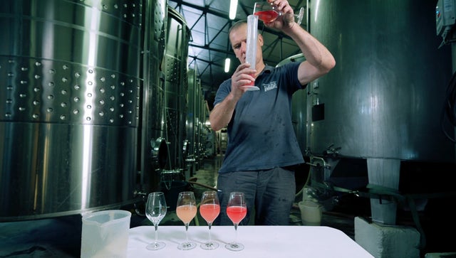WineMasters: Provence, France