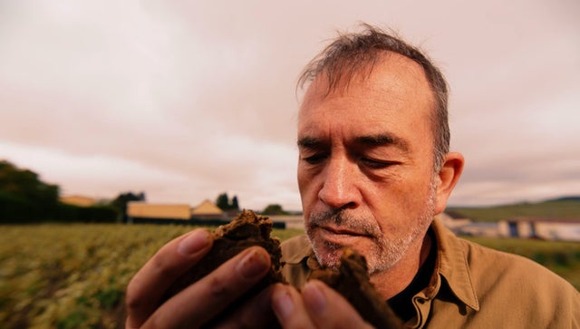 The Science of Wine: Can You Taste Soil in Wine?