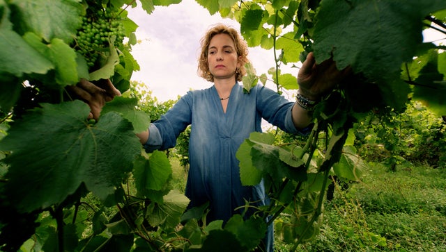 WineMasters: Vinho Verde, Portugal