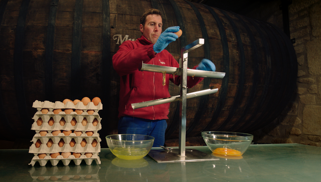 WineMasters: Rioja, Spain