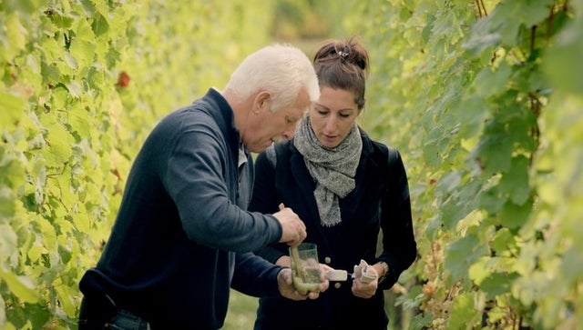 WineMasters: Alsace, France