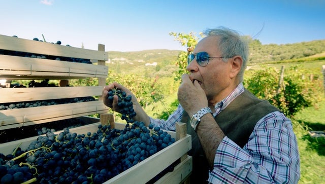 WineMasters: Veneto, Italy