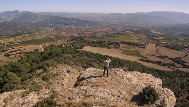 WineMasters: Penedès, Spain