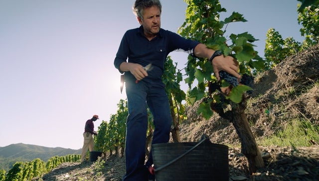 WineMasters: Priorat, Spain