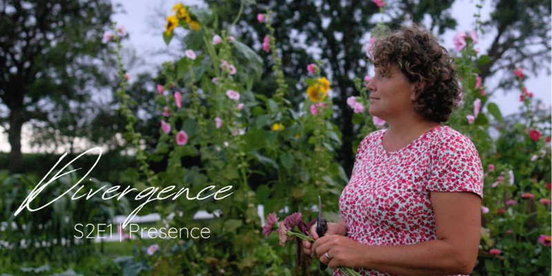 Available for TV platforms and apps