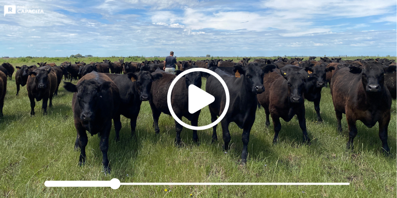 Available for TV platforms and apps