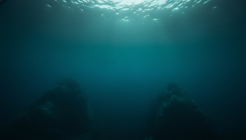 Available for TV platforms and apps