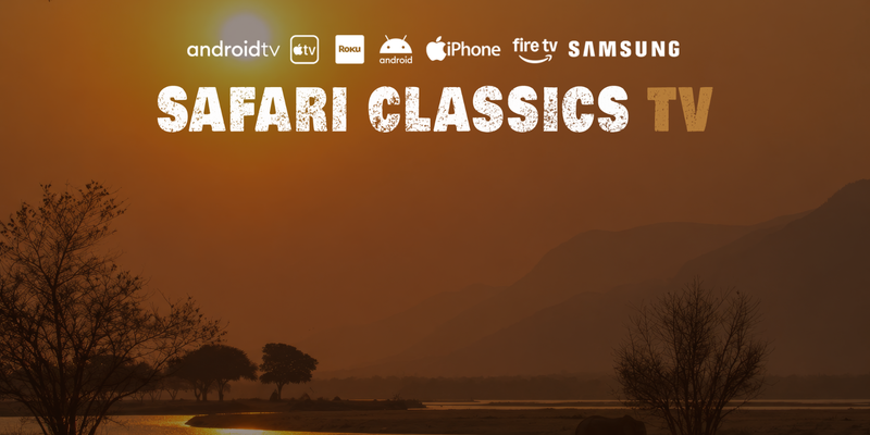 Available for TV platforms and apps