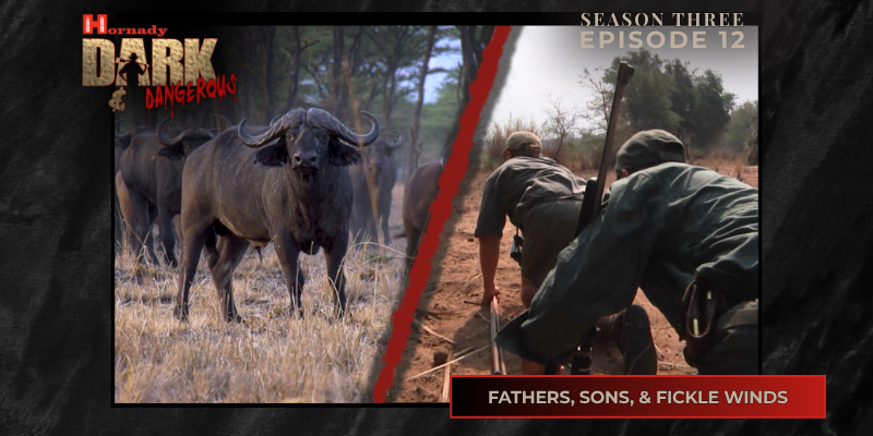 Available for TV platforms and apps