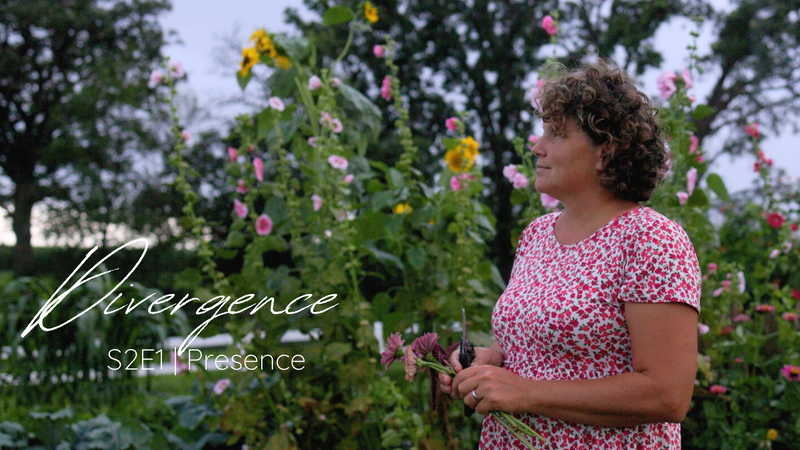 Divergence Series