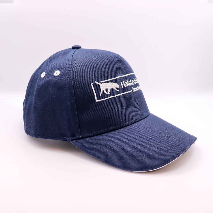 HGA baseball caps - Blue
