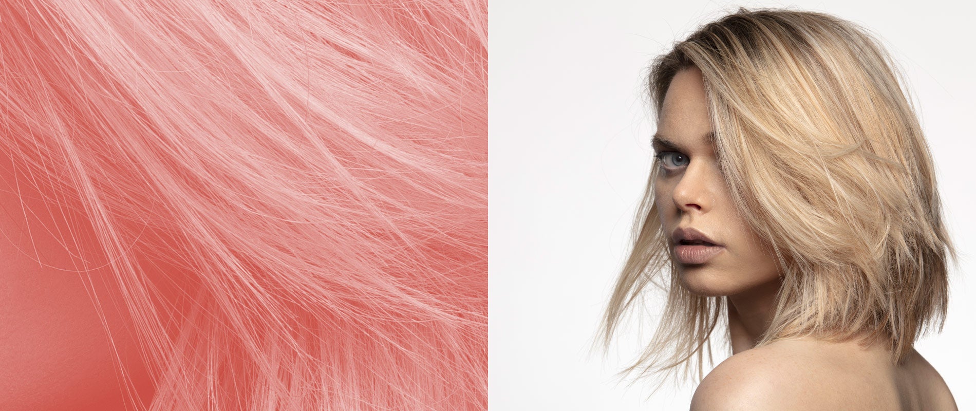 It's time to upgrade to A+ | Allilon+