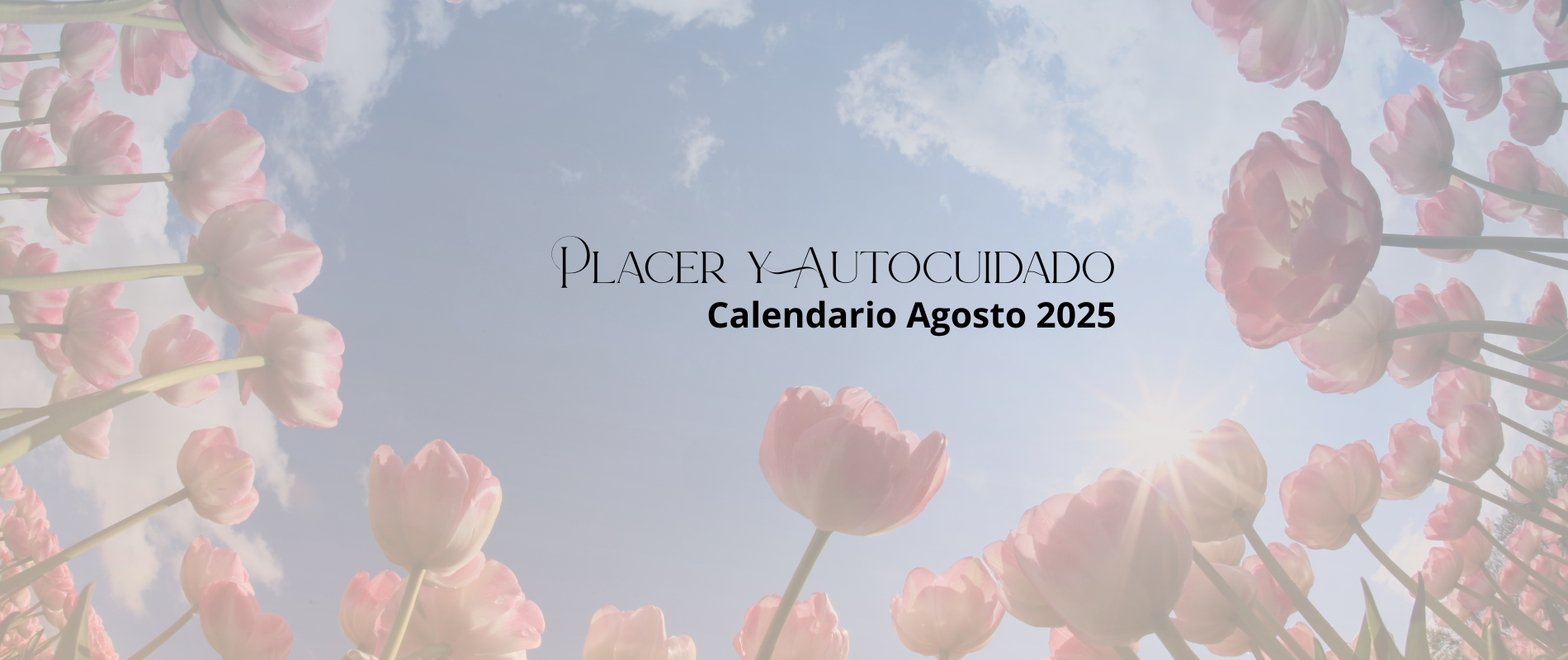 Descansa | Yoga Restaurativo 