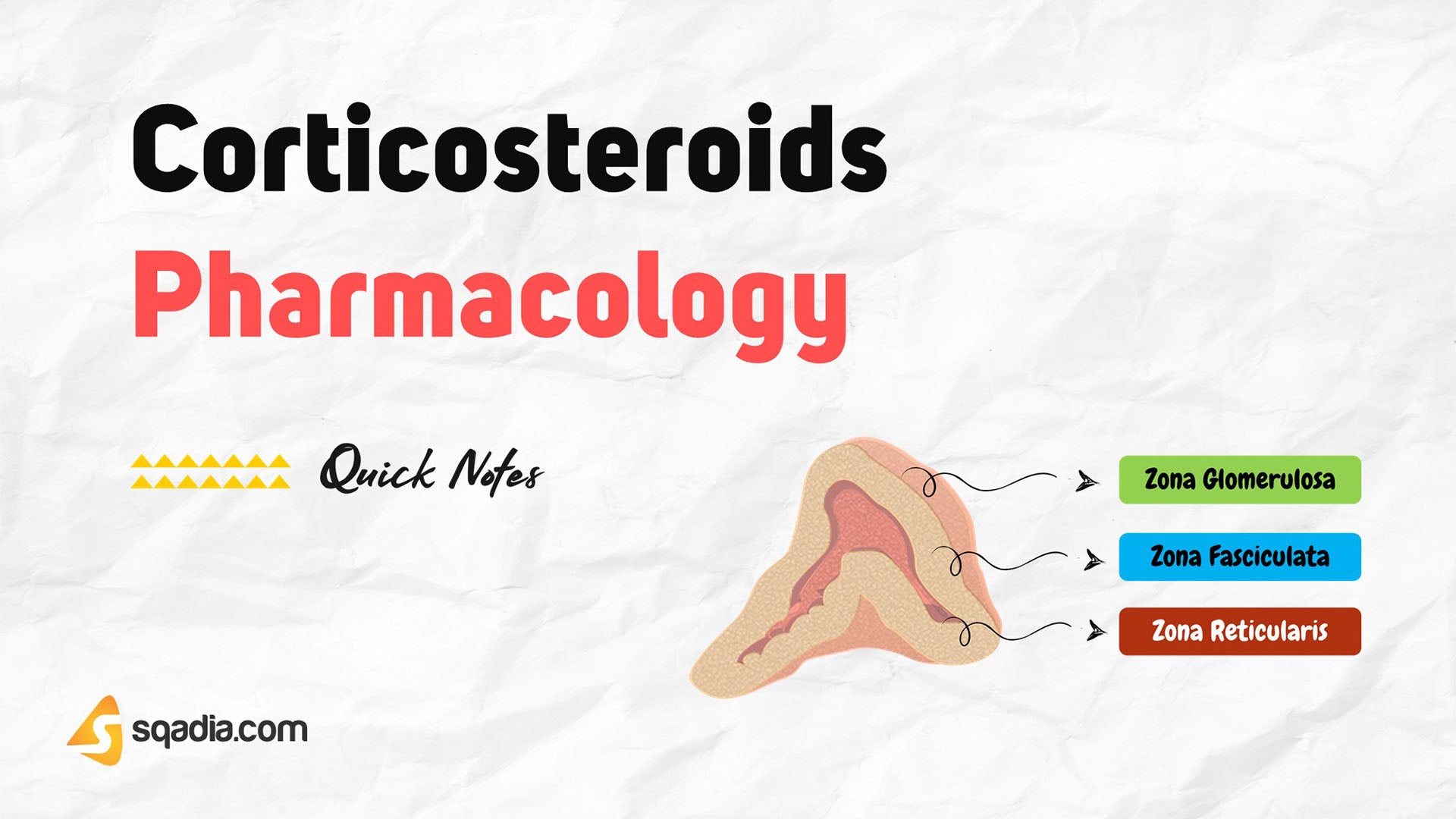 Corticosteroids Pharmacology Introduction