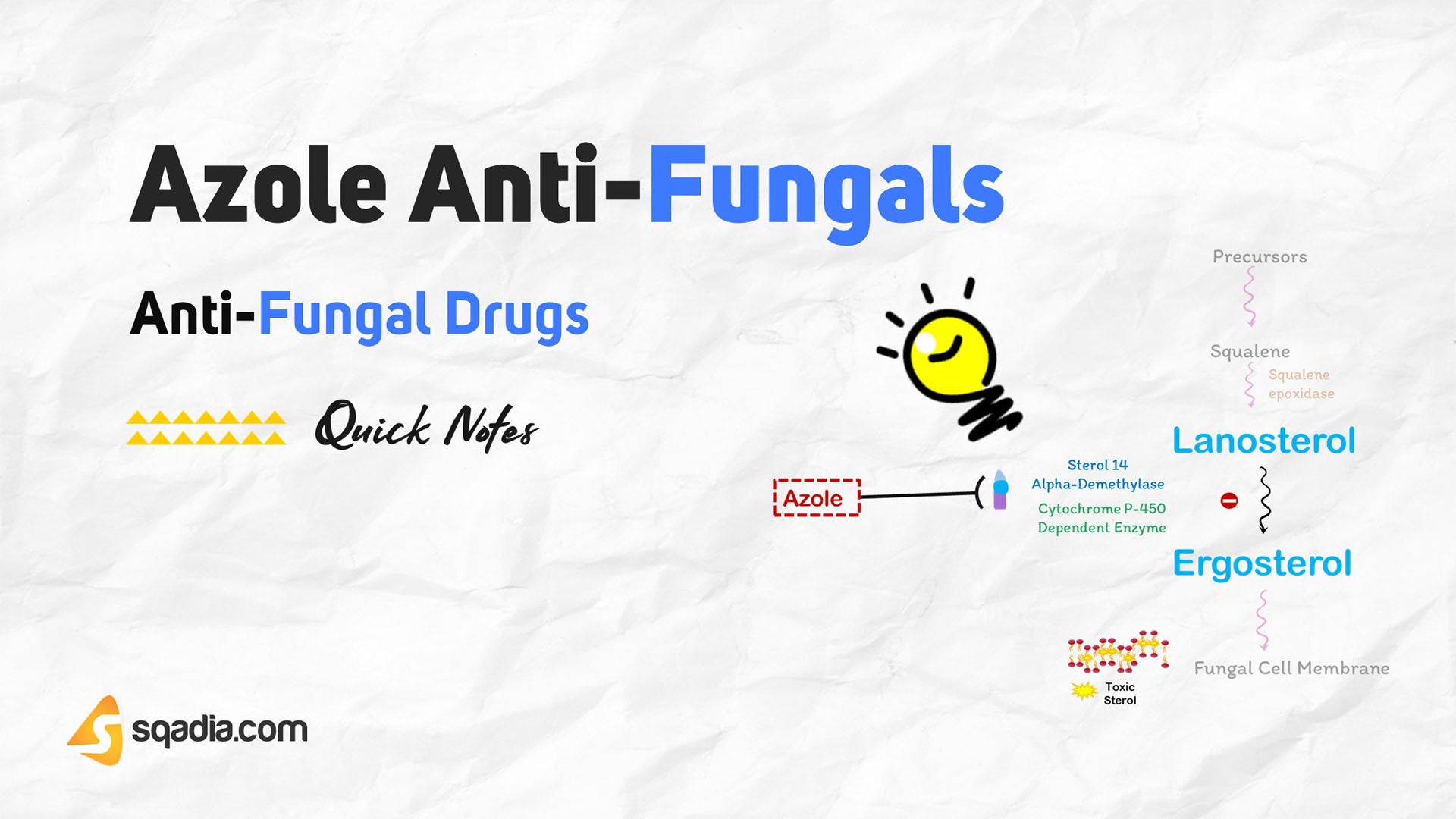AntiFungal Drugs Azole Antifungals
