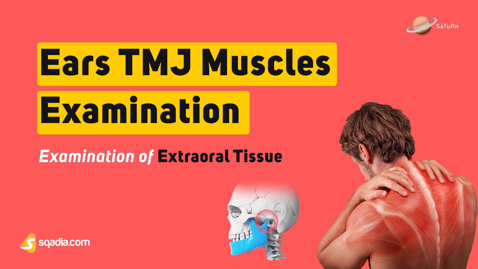 Examination of Extraoral Tissue Ears TMJ Muscle Examination