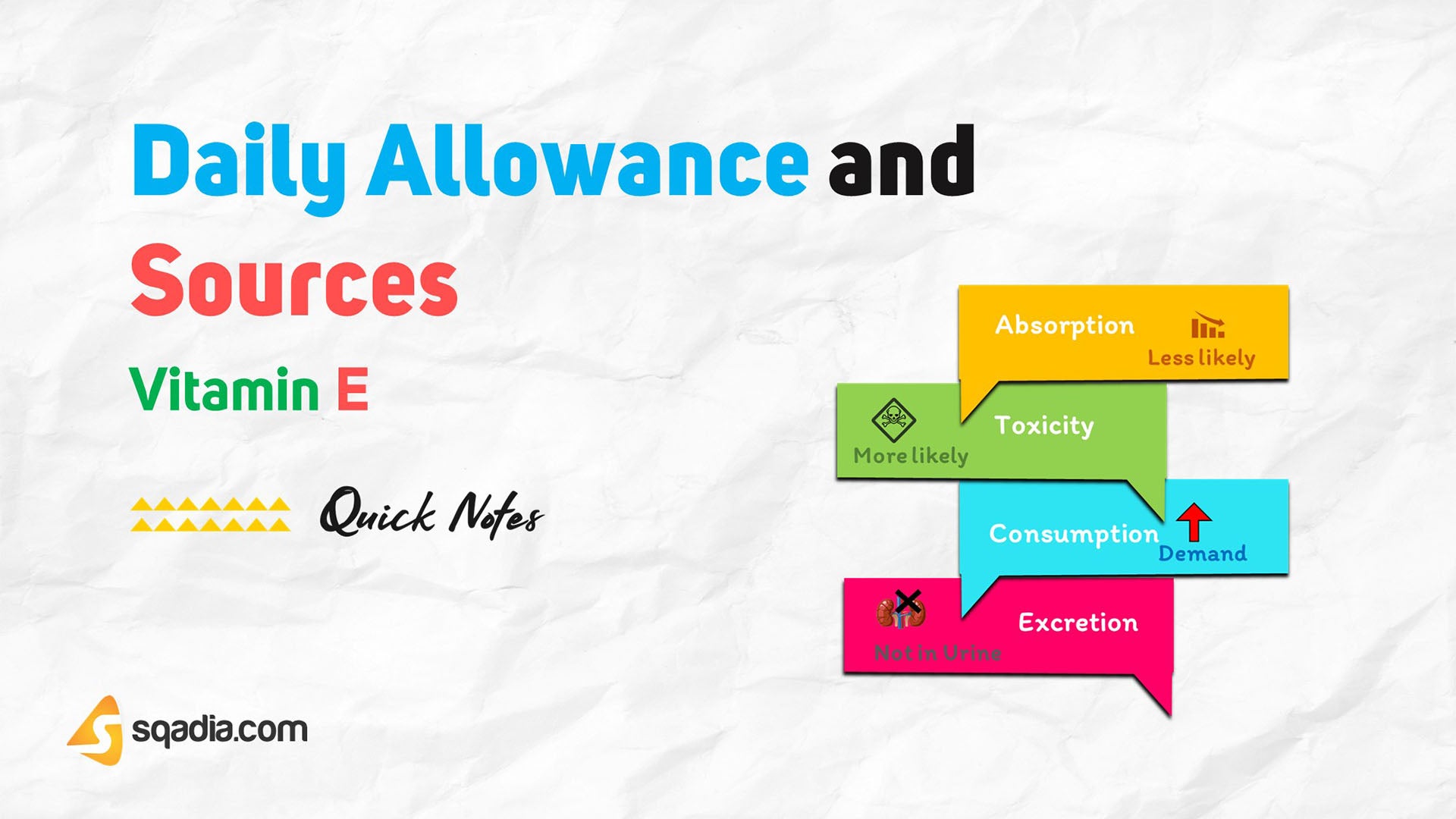 Vitamin E Daily Allowance and Sources