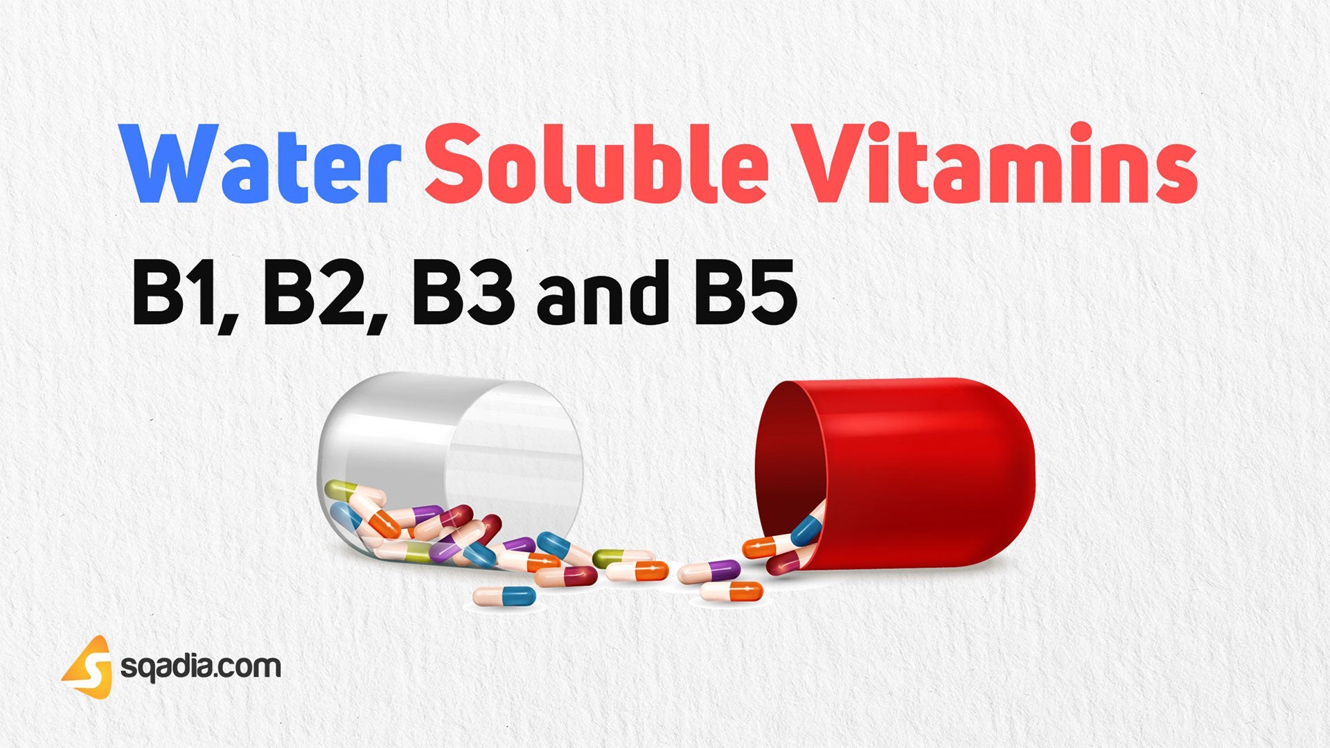 Water Soluble Vitamins B1, B2, B3 and B5 Introduction