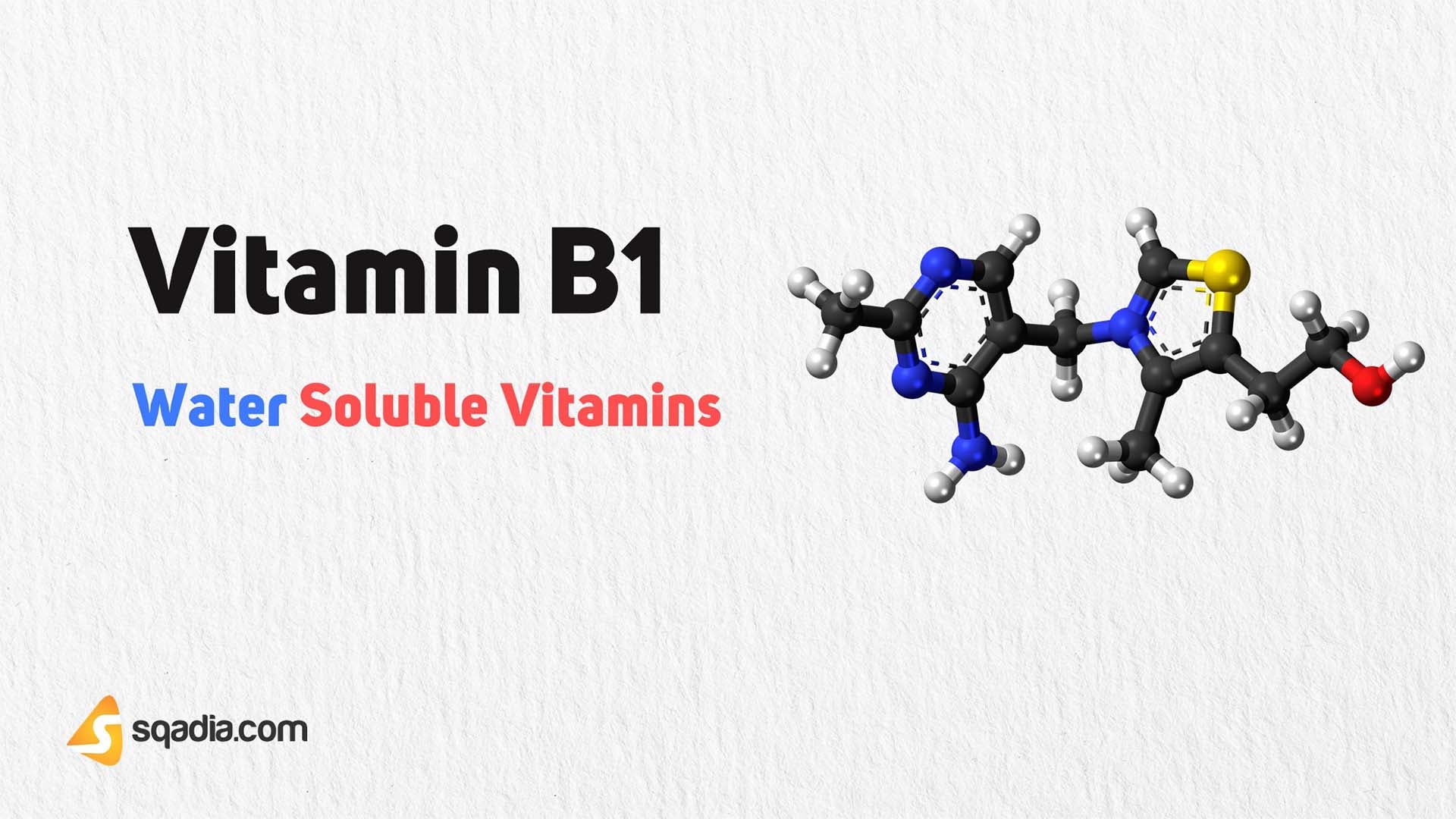 Water Soluble Vitamins B1, B2, B3 and B5 Vitamin B1