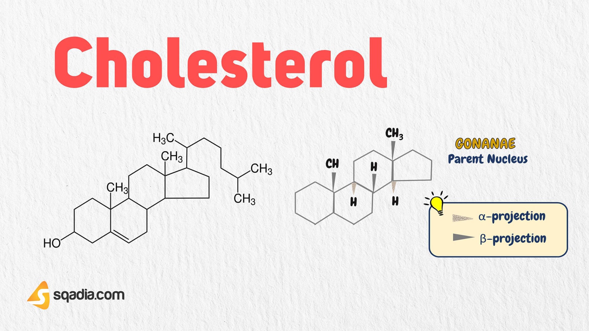 Cholesterol Introduction