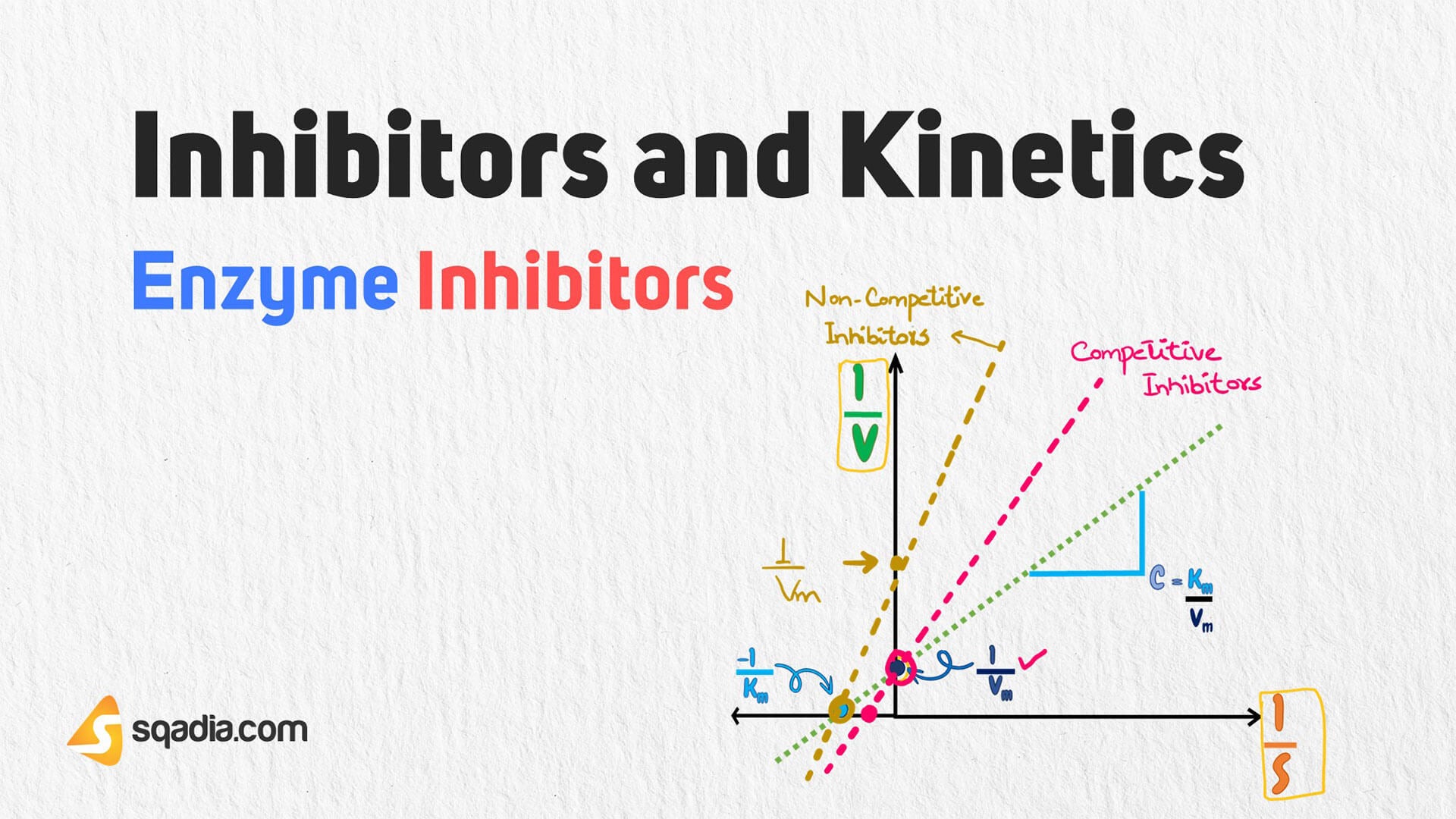 Enzyme Inhibitors Inhibitors and
