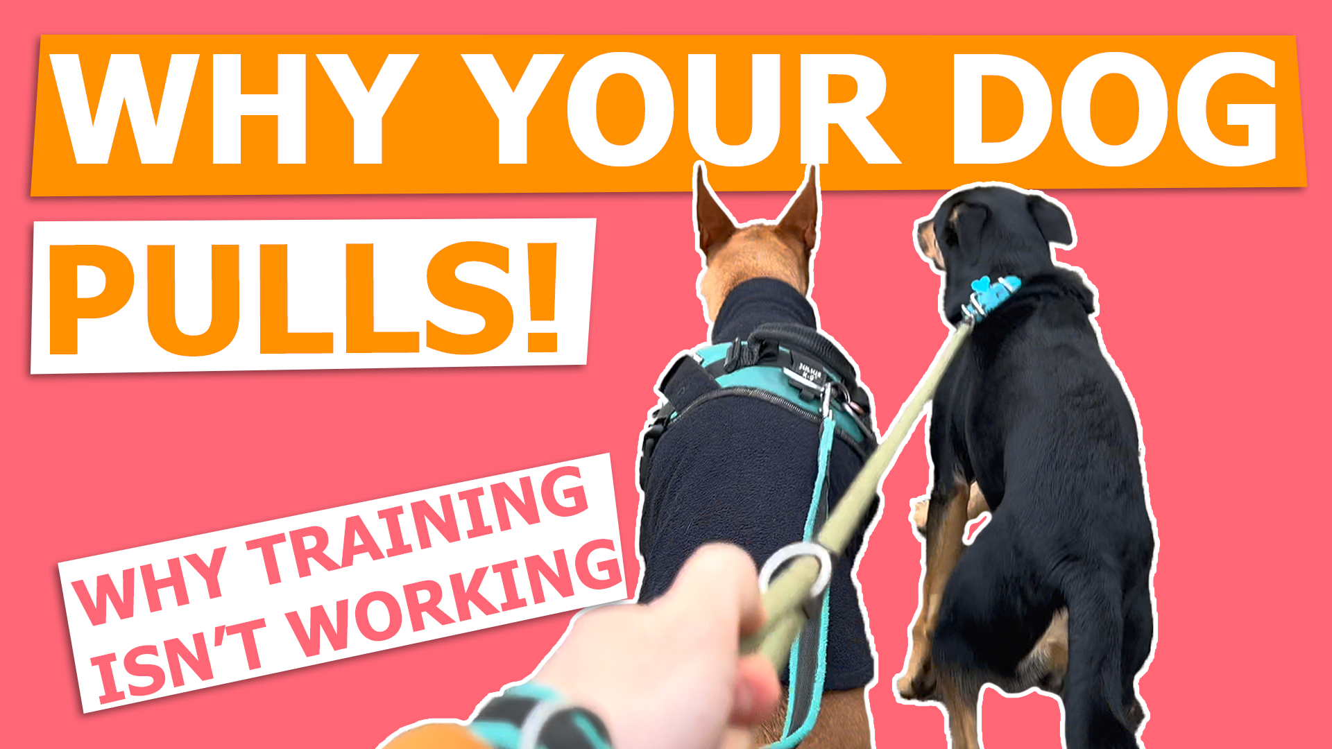 Step 1 What you need to do, before training