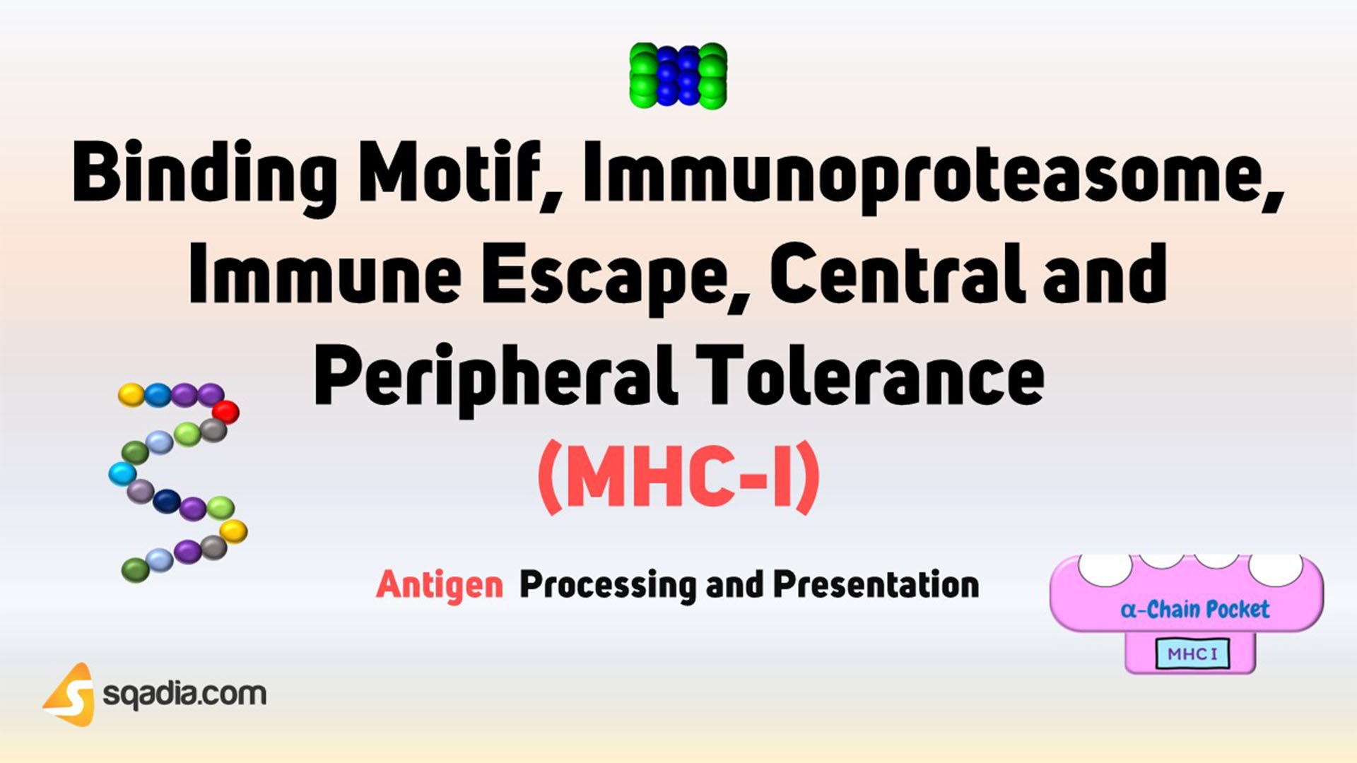 Antigen Processing and Presentation Binding Motif, Immuno