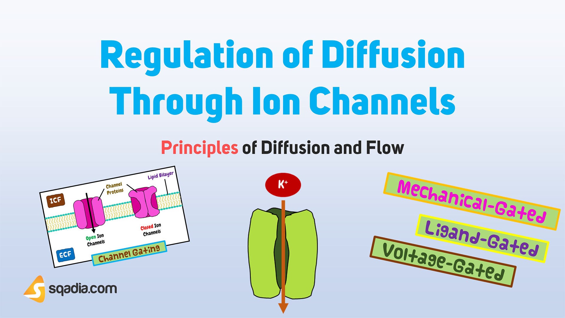 What Are The Principles Of Diffusion? – ZWGH