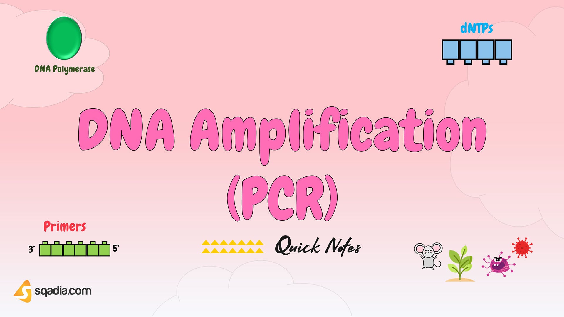 DNA Amplification (PCR) Introduction