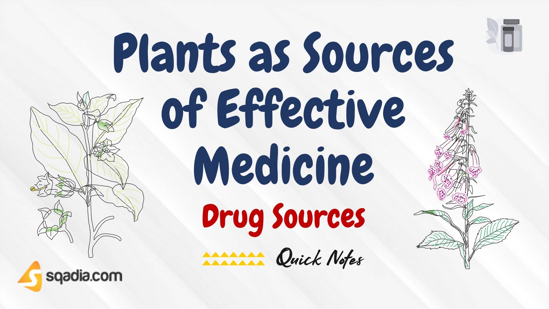 Drug Sources Plants as Sources of Effective Medicine