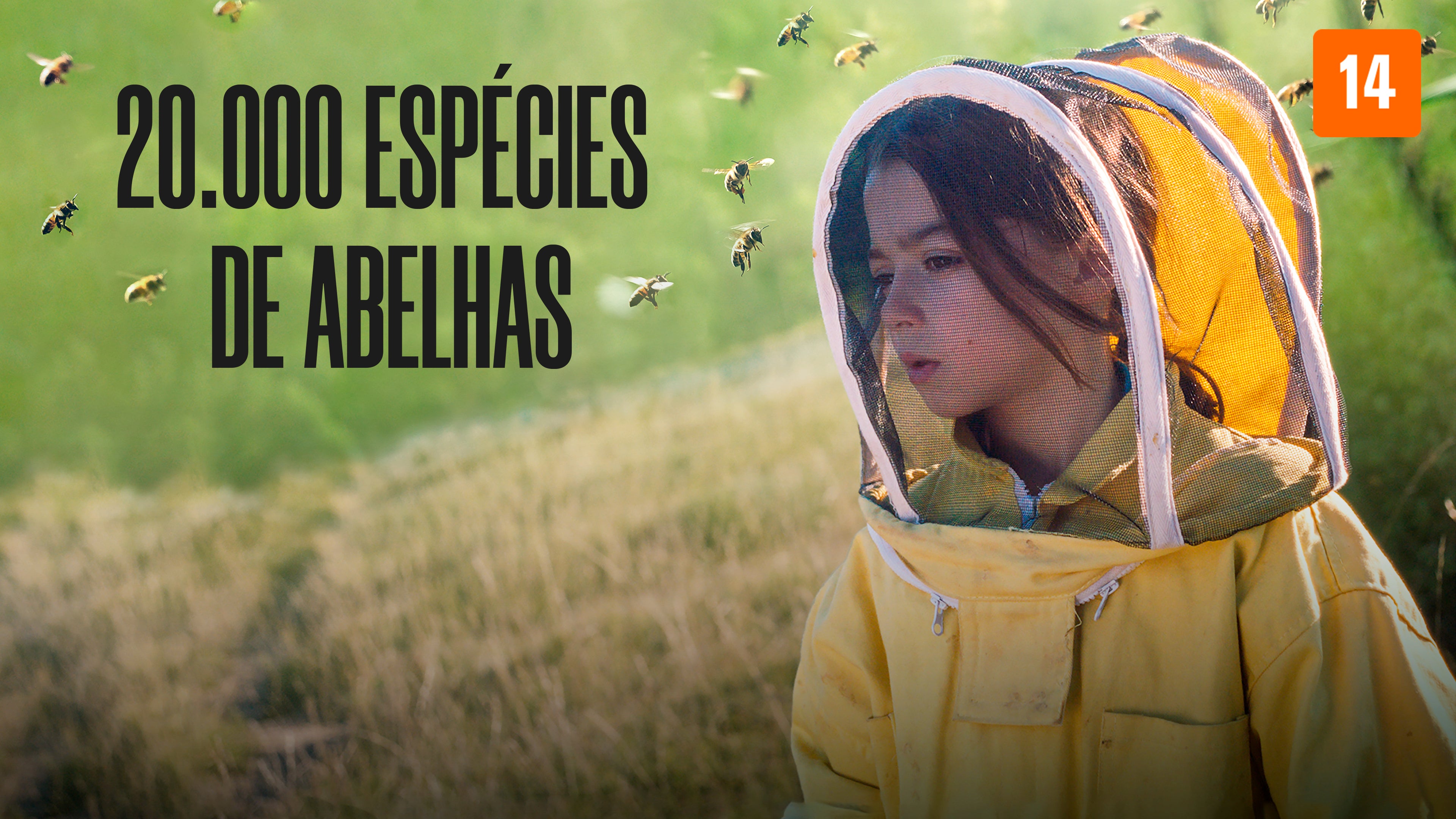 20.000 Espécies de Abelhas