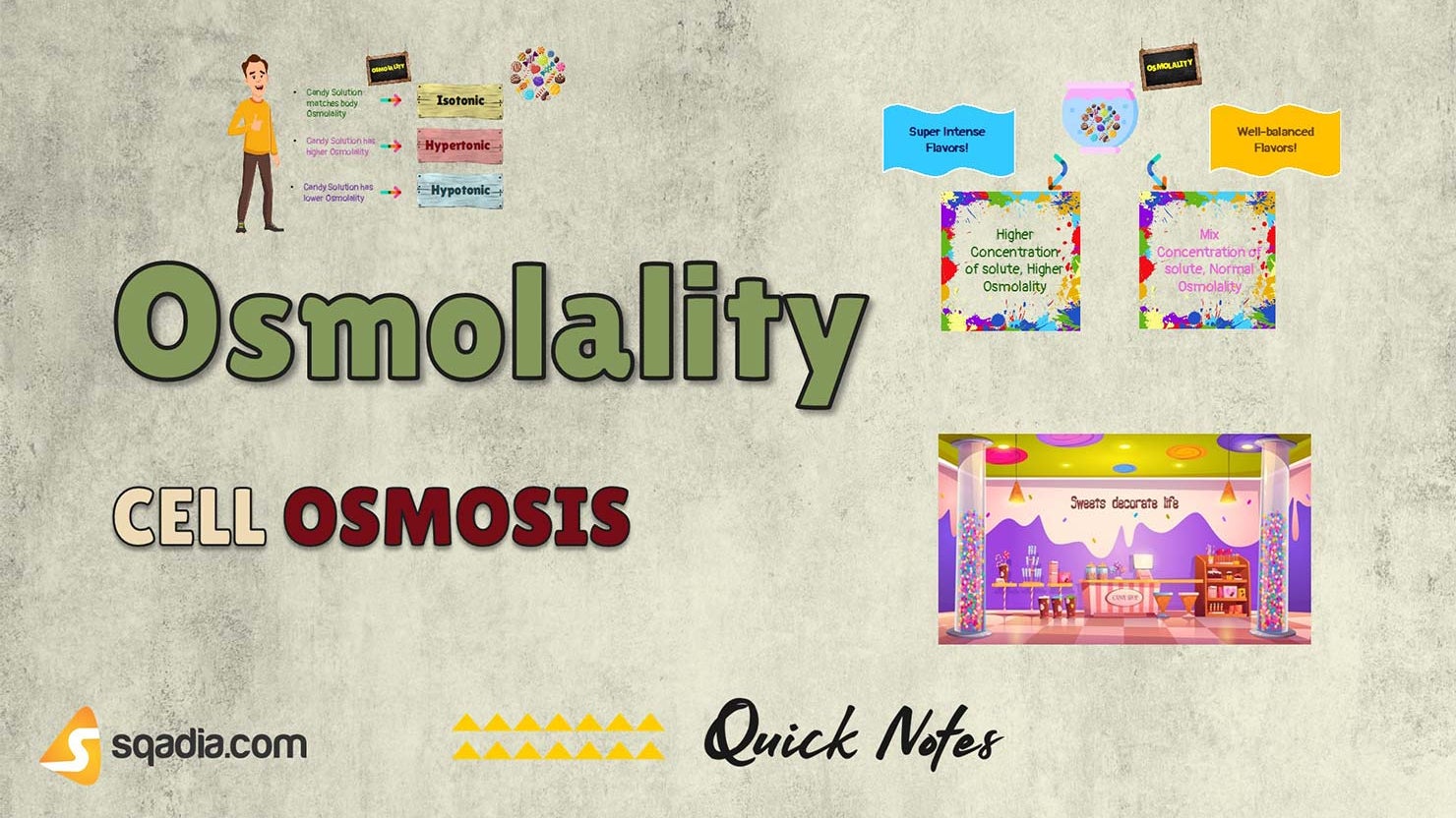 Cell Osmosis Osmolality