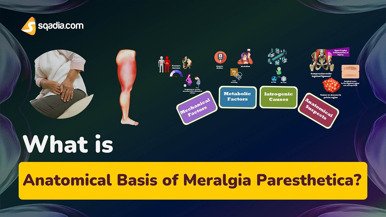 What is Anatomical Basis of Meralgia Paresthetica? Anatomy