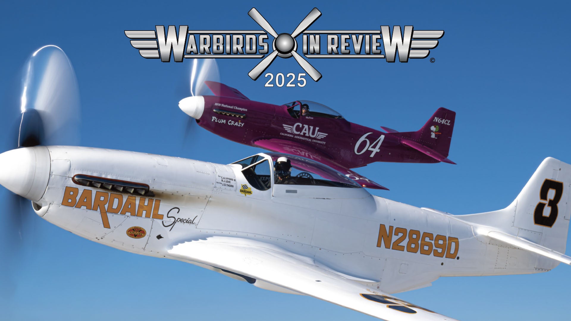 Warbirds in Review-Curtiss-P-40-Aleutian-Tiger-Ron-Fagen-Ray-Fowler ...
