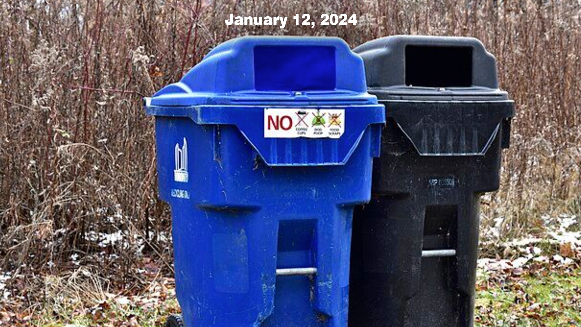 World Watch Wonders Trash Cans WORLD Watch