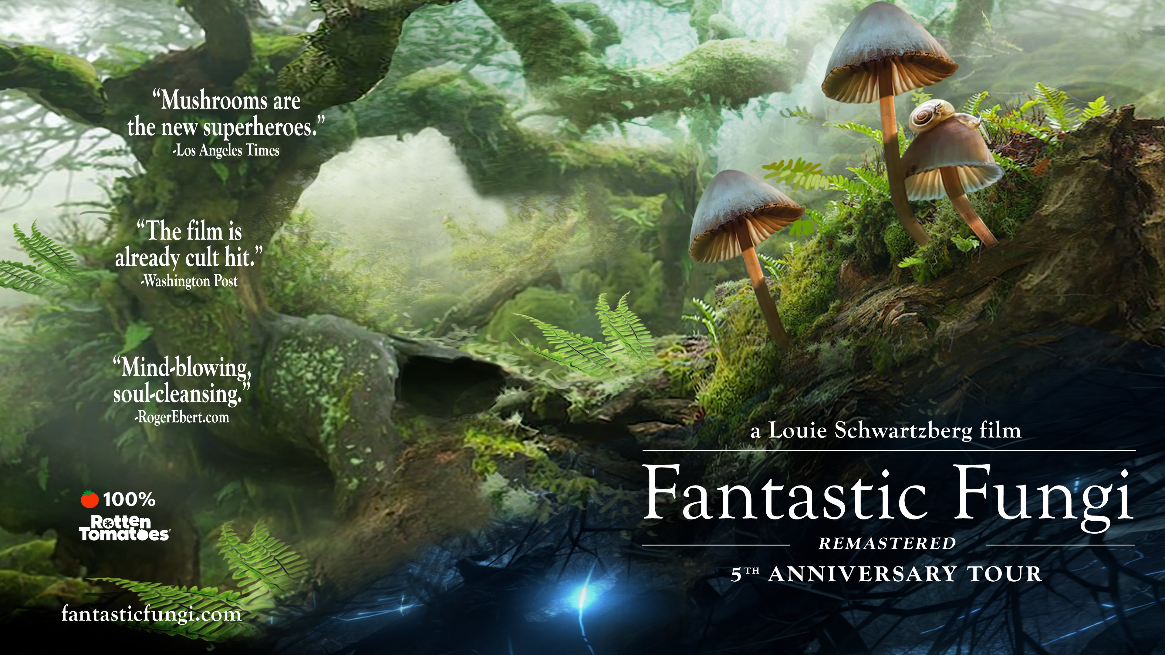 Fantastic Fungi: Remastered