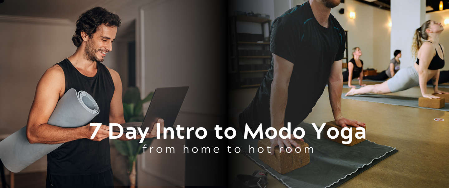 Modo Yoga Online | Catalog