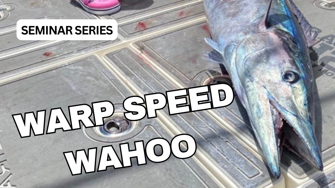 wahoo headwind black friday