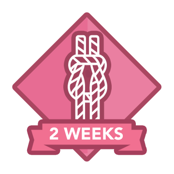 Image for the badge Two Weeks.