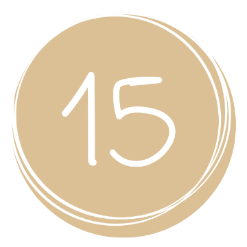 Imagen para la insignia Yogui 15.